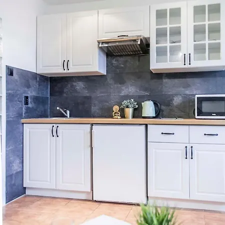 Studio Oliwa Apartment *